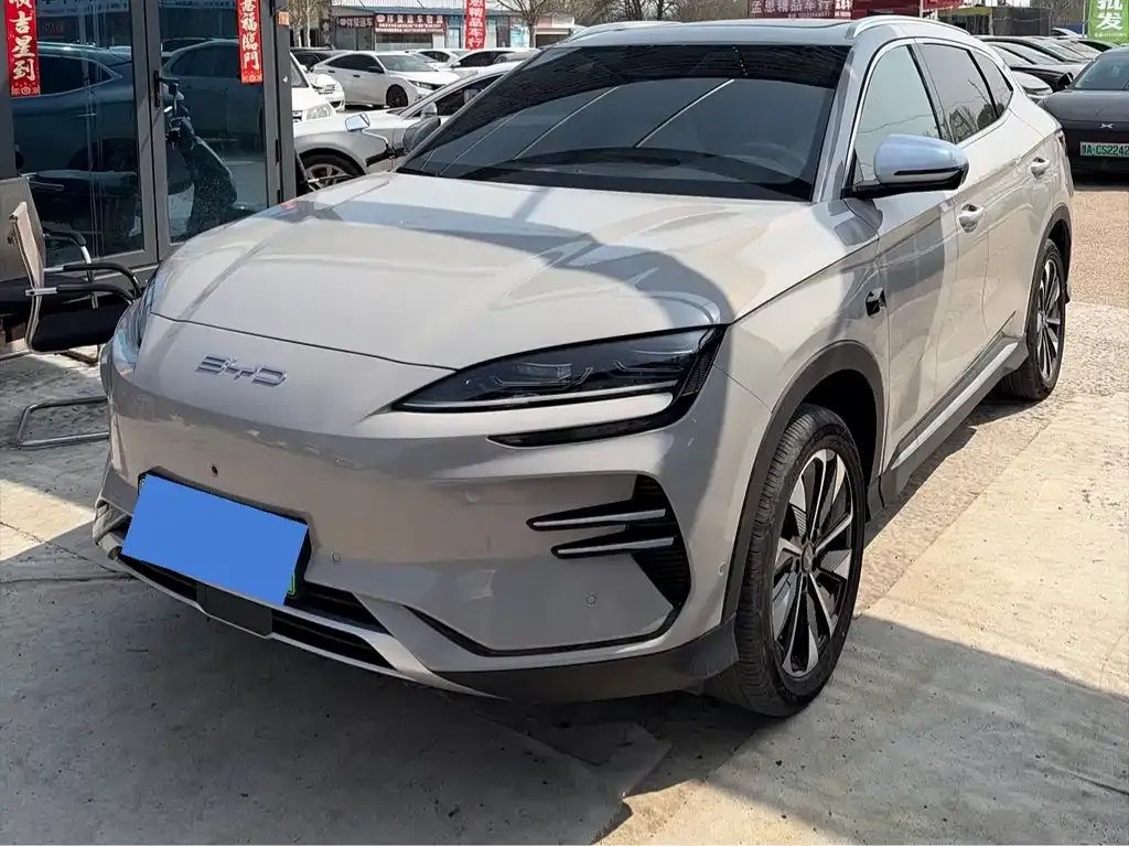BYD PLUS New Energy — фото 1