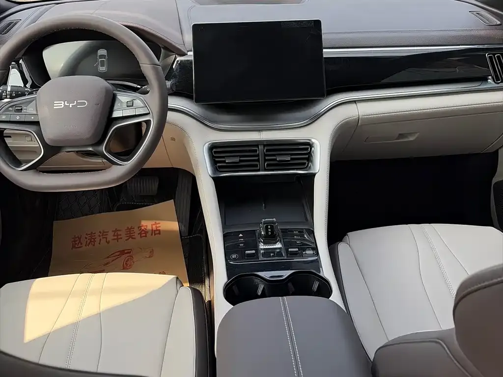 BYD PLUS New Energy — фото 7