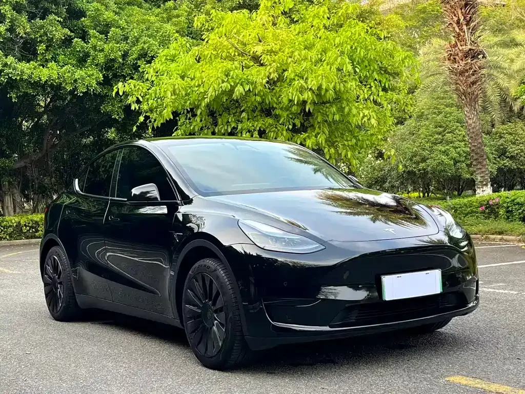 Tesla Model Y — фото 10