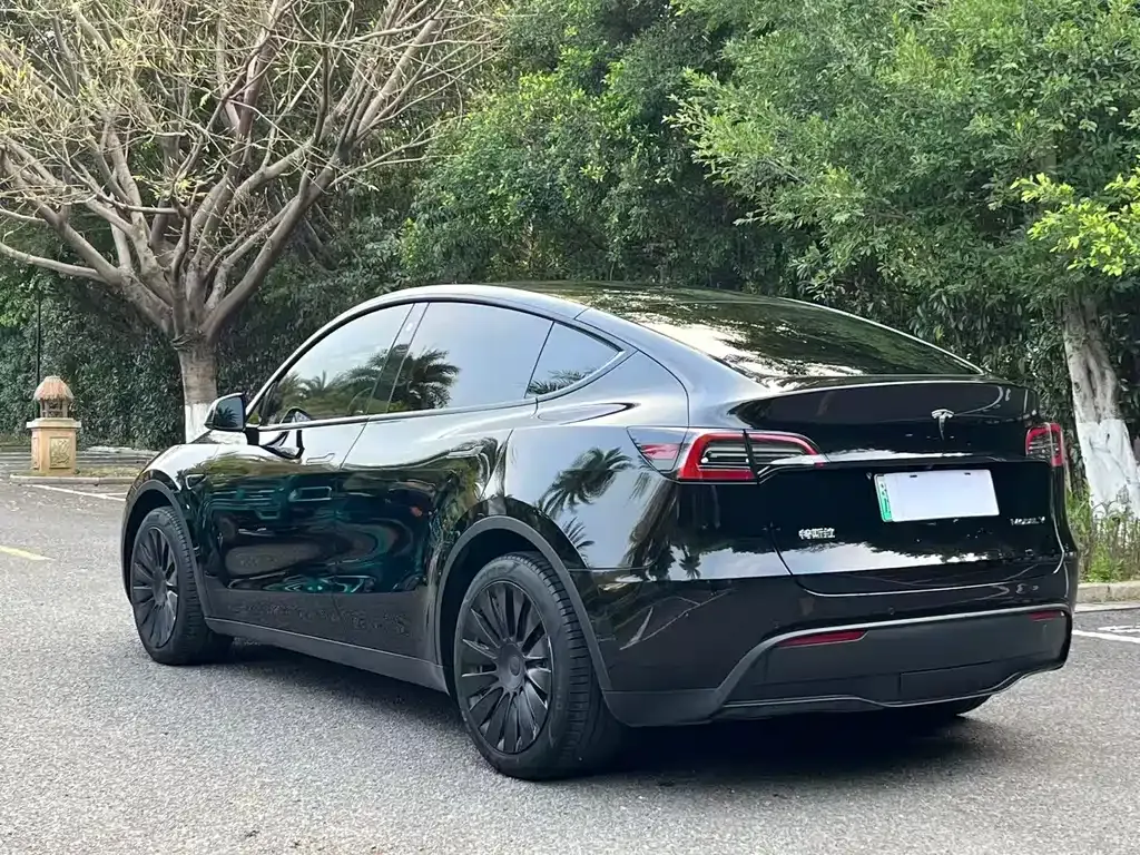 Tesla Model Y — фото 9