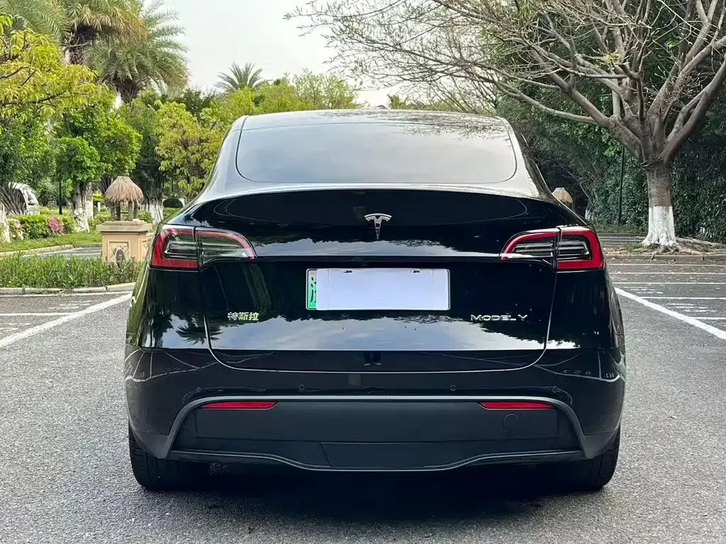 Tesla Model Y — фото 8