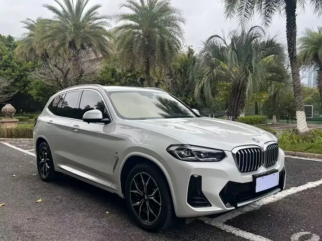 BMW X3 — фото 1