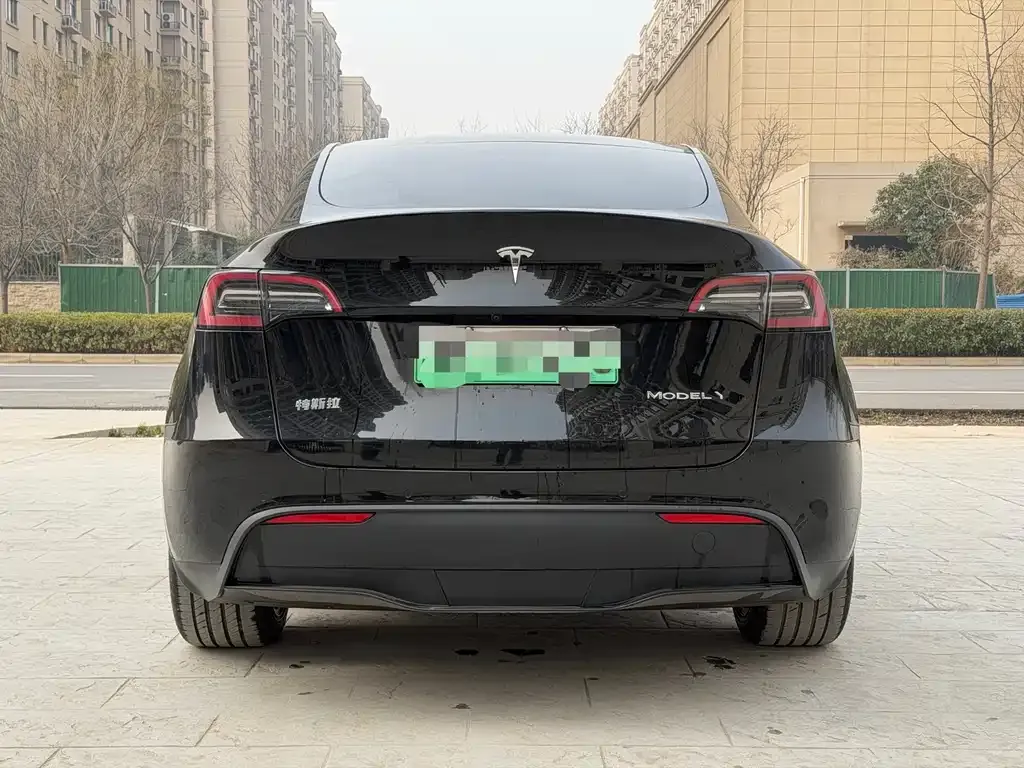 Tesla Model Y — фото 6