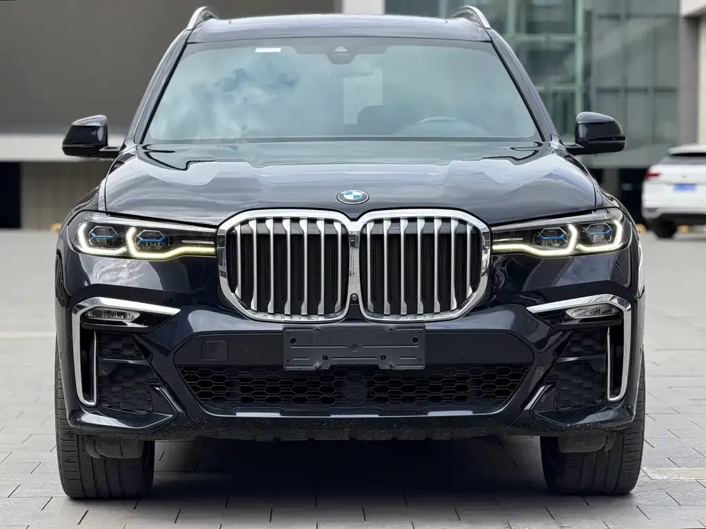 BMW X7 — фото 2