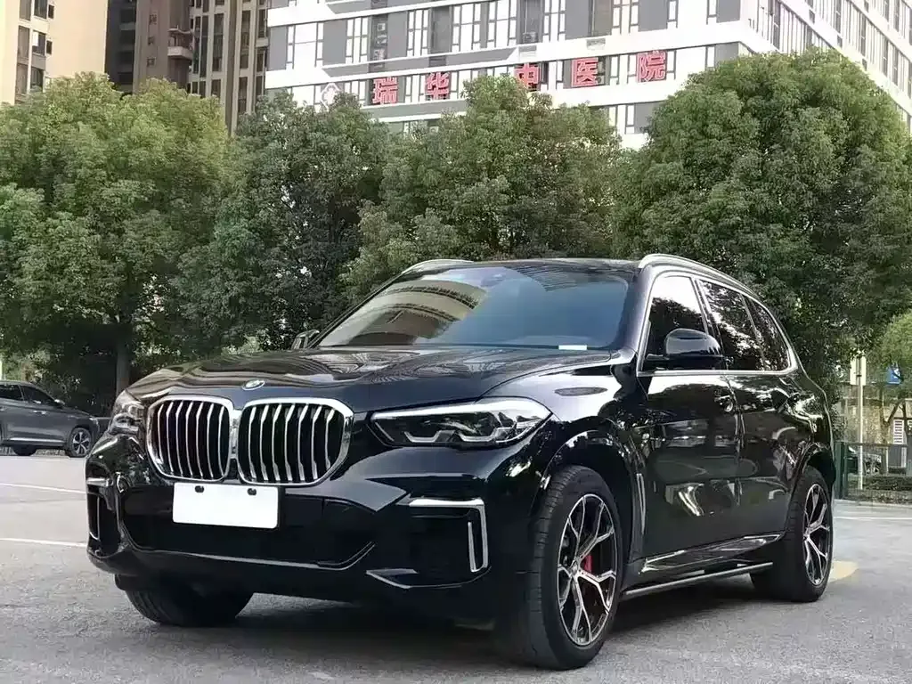 BMW X5 2023 из CN, фото 1
