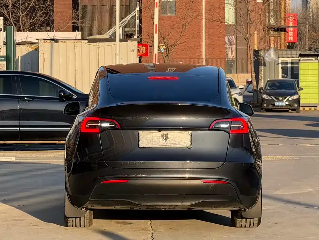 Tesla Model Y 2024 из CN, фото 9