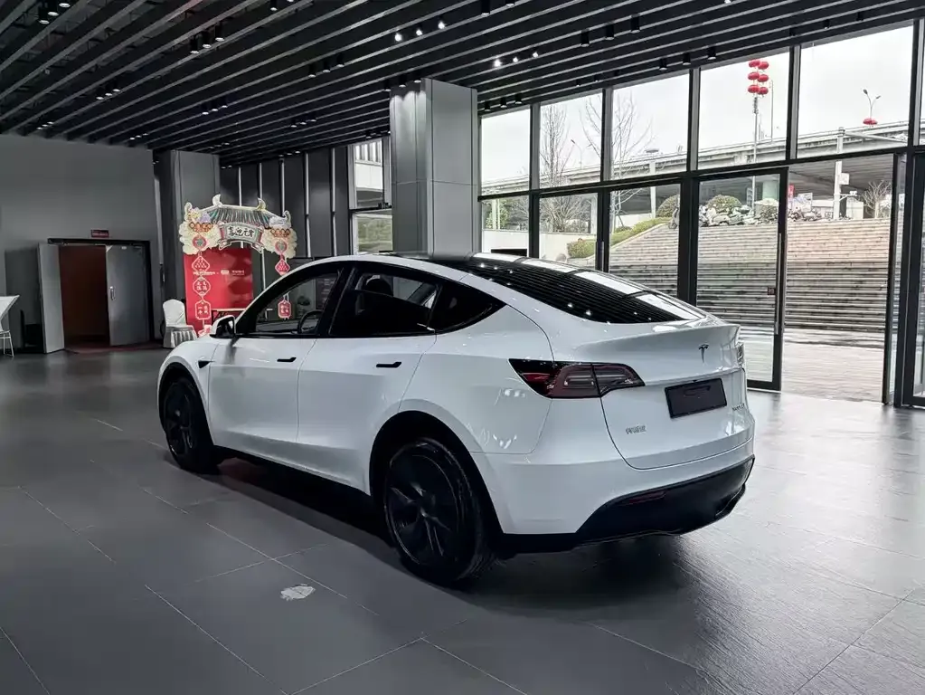 Tesla Model Y 2024 из CN, фото 9