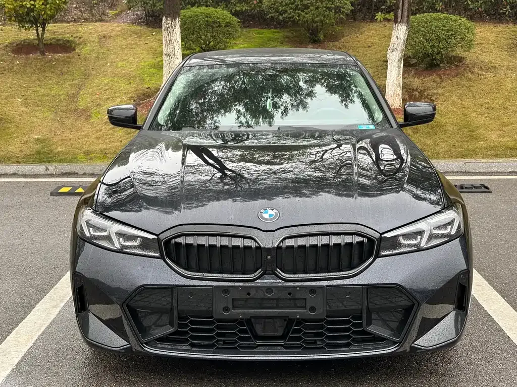 BMW 3 Series 2024 из CN, фото 5