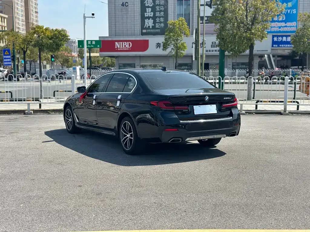 BMW 5 Series 2023 из CN, фото 8