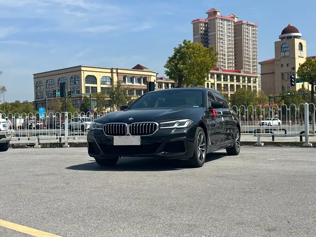 BMW 5 Series 2023 из CN, фото 10