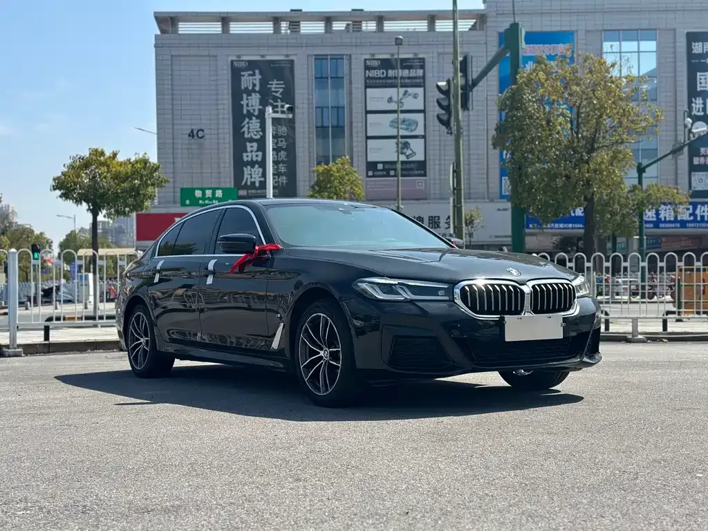 BMW 5 Series 2023 из CN, фото 5