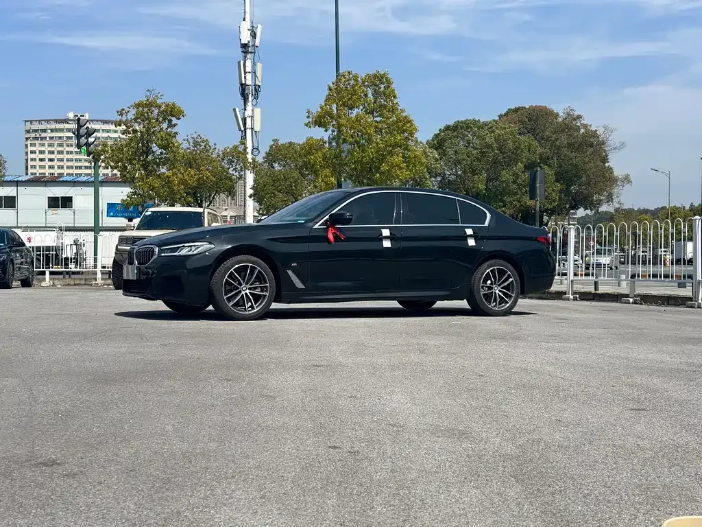 BMW 5 Series 2023 из CN, фото 6