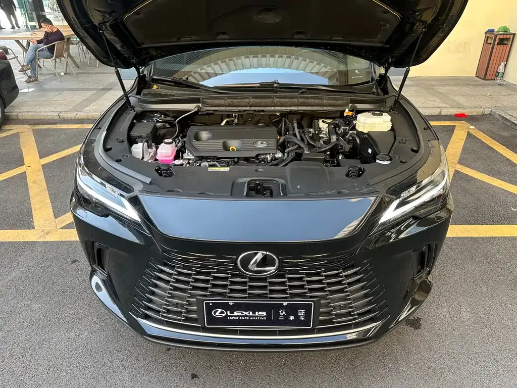 Lexus RX — фото 10