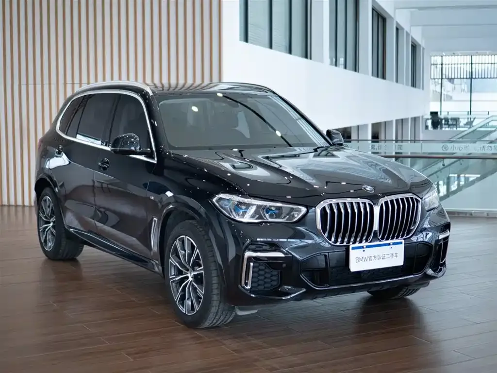 BMW X5 — фото 10