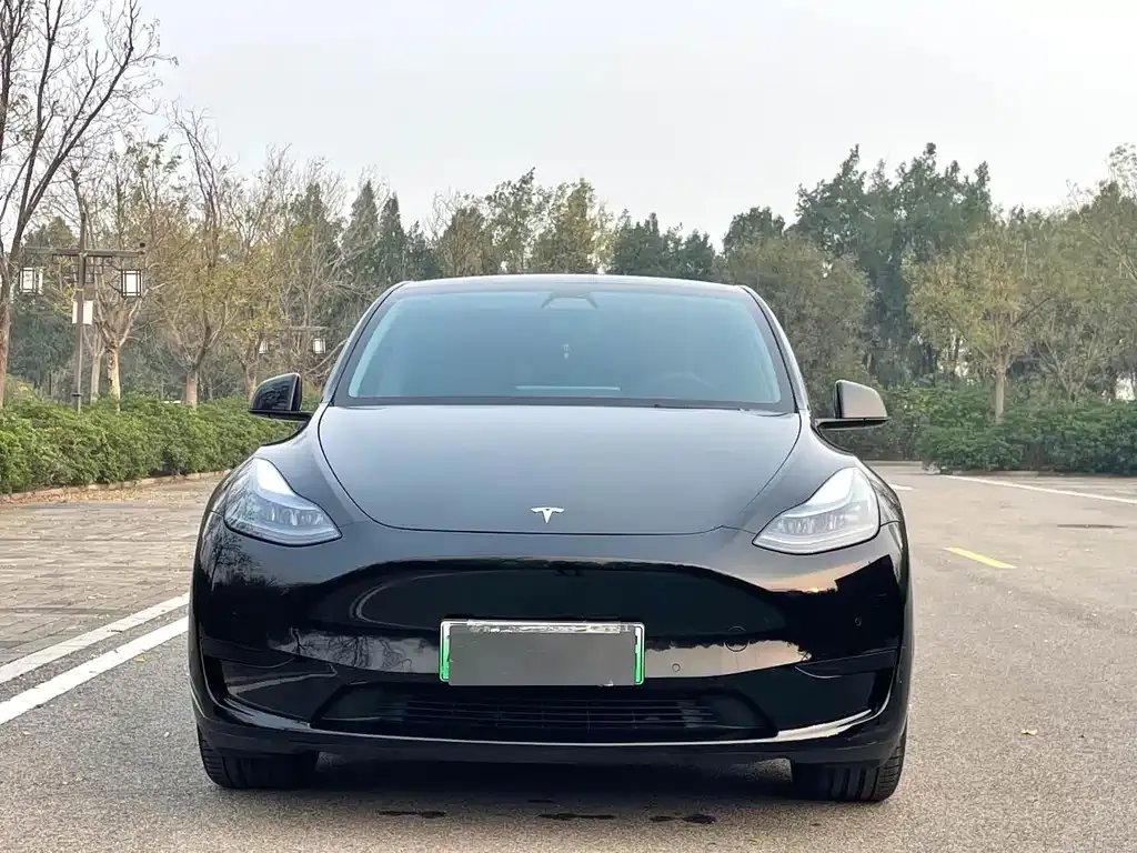 Tesla Model Y — фото 6