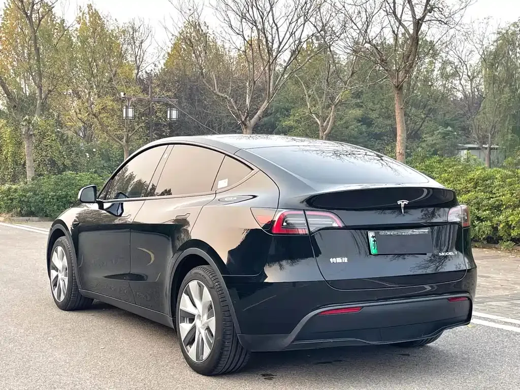 Tesla Model Y — фото 8