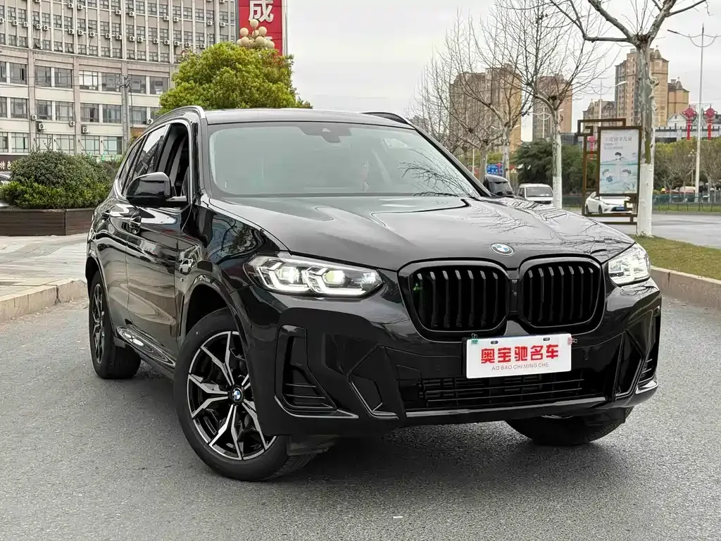 BMW X3 2023 из CN, фото 9