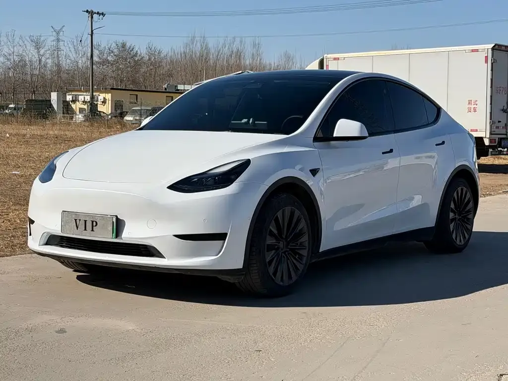 Tesla Model Y — фото 1