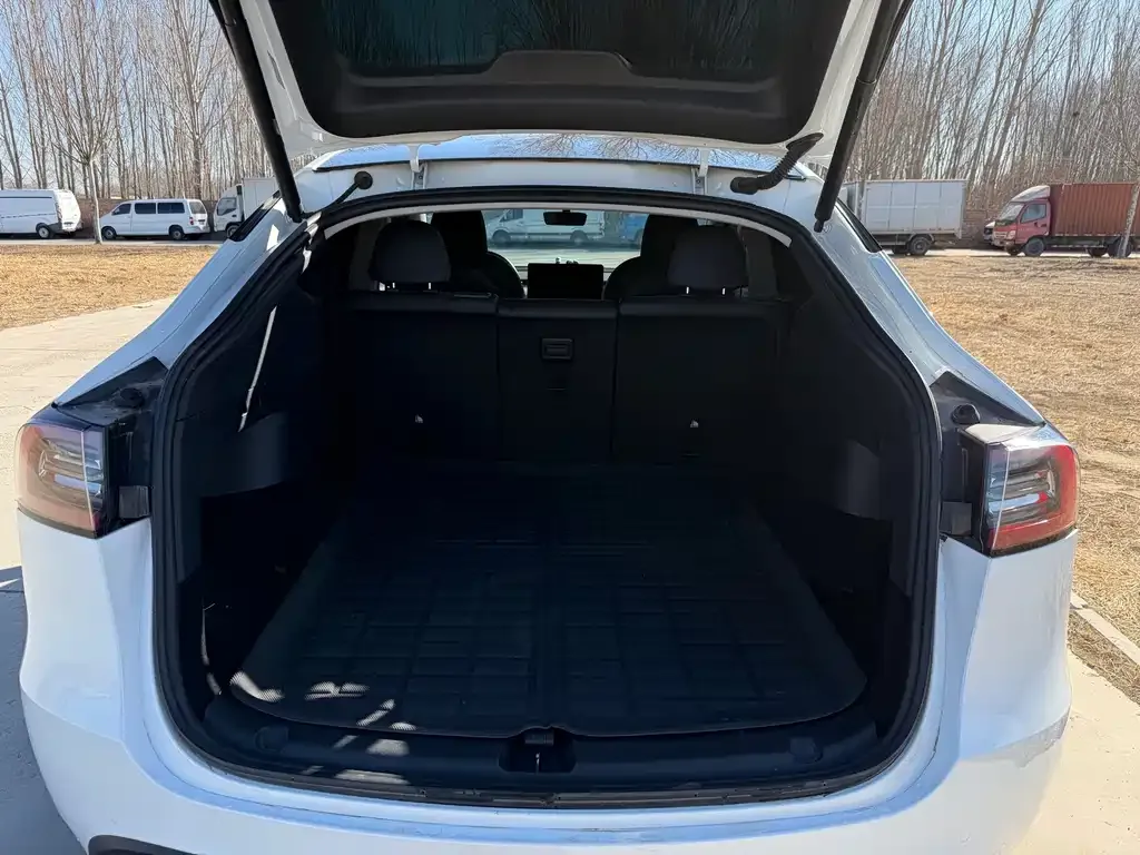 Tesla Model Y — фото 6