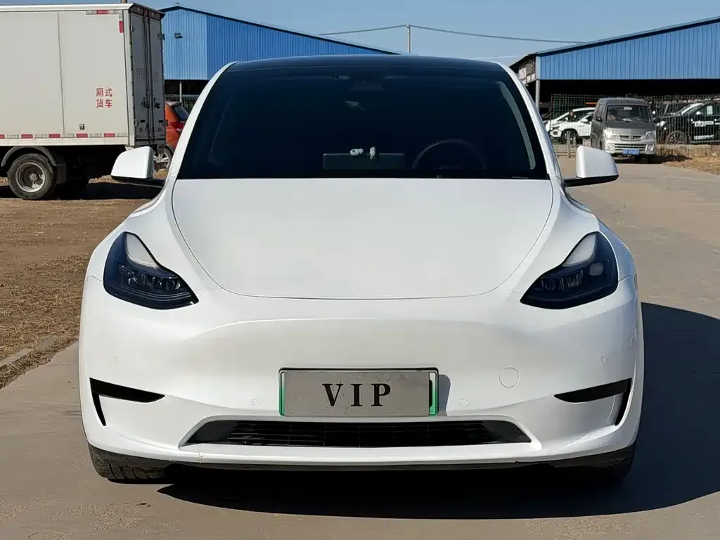 Tesla Model Y — фото 9