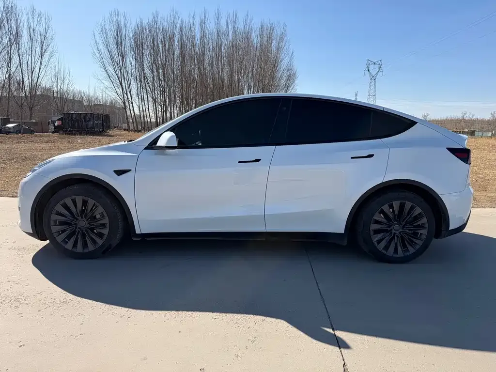 Tesla Model Y — фото 3