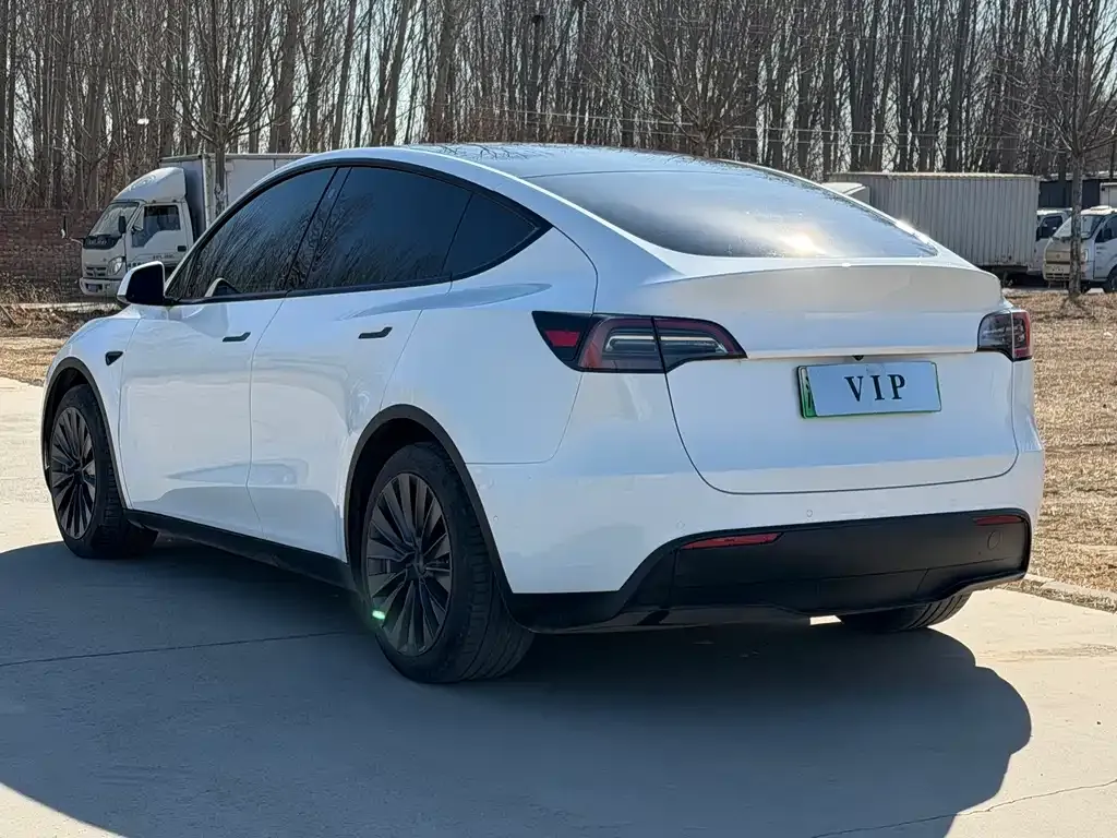 Tesla Model Y — фото 5