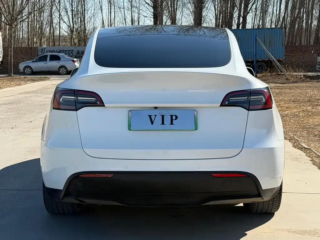 Tesla Model Y — фото 8