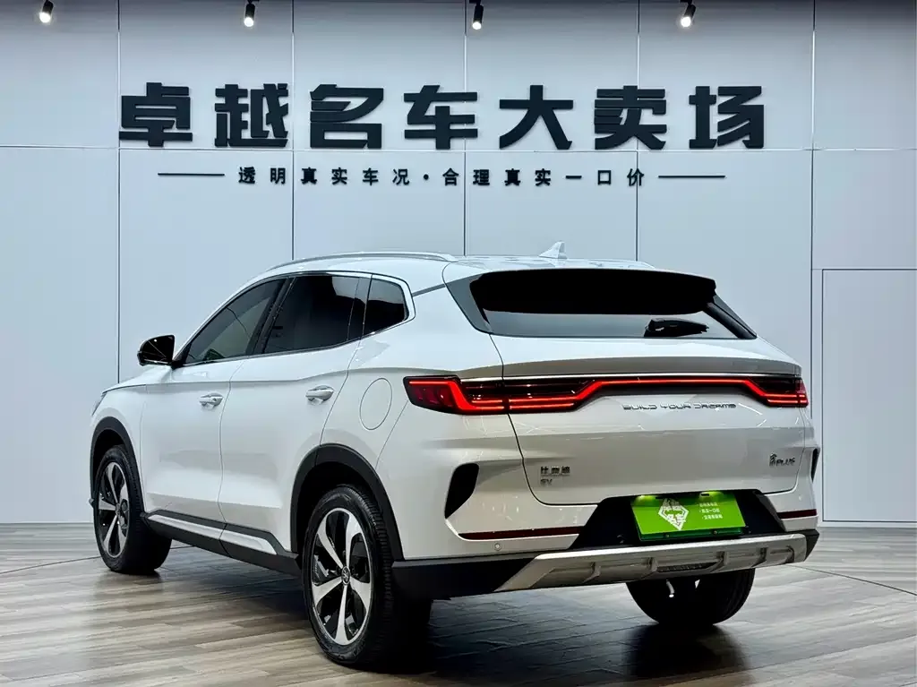 BYD PLUS New Energy — фото 8