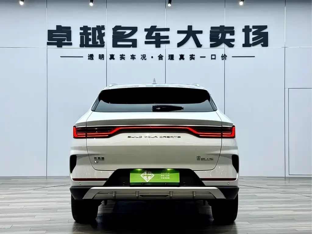 BYD PLUS New Energy — фото 3