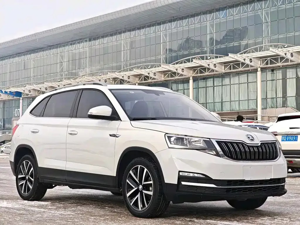 Skoda Kamiq 2023 из CN, фото 9