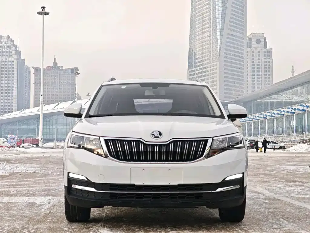 Skoda Kamiq 2023 из CN, фото 5