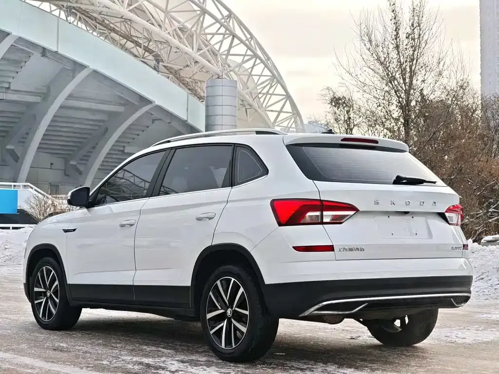 Skoda Kamiq 2023 из CN, фото 6