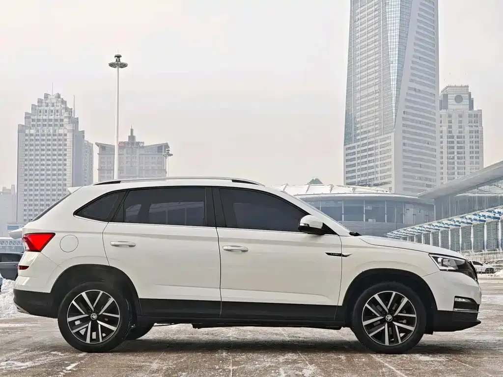 Skoda Kamiq 2023 из CN, фото 10