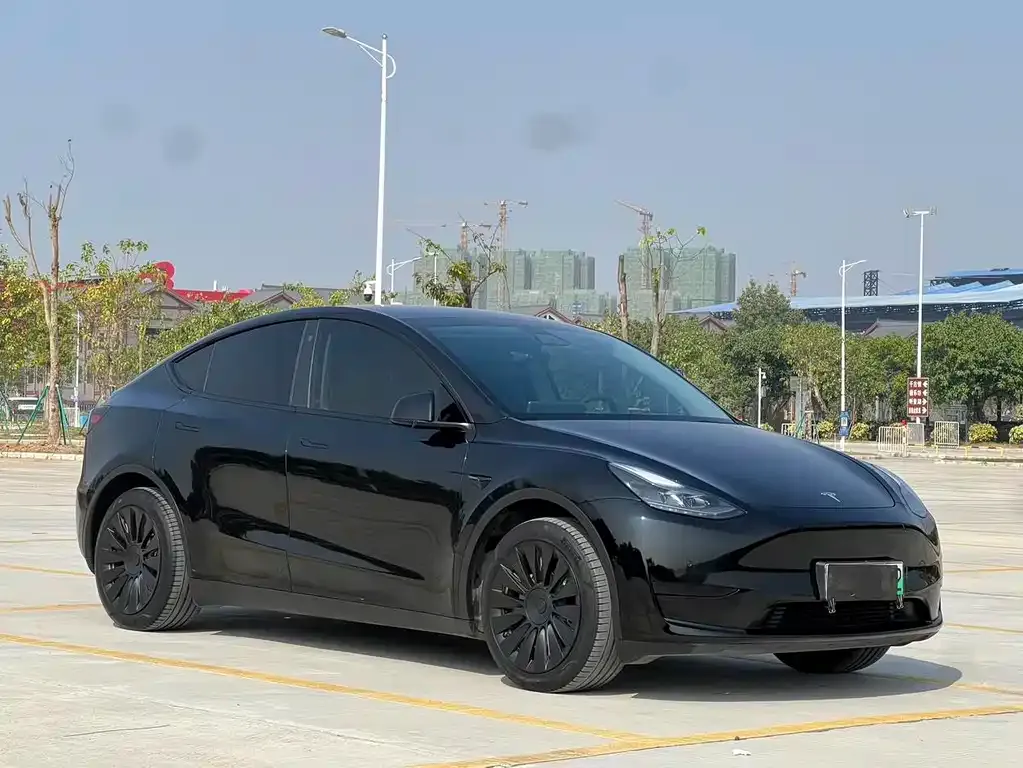 Tesla Model Y — фото 8