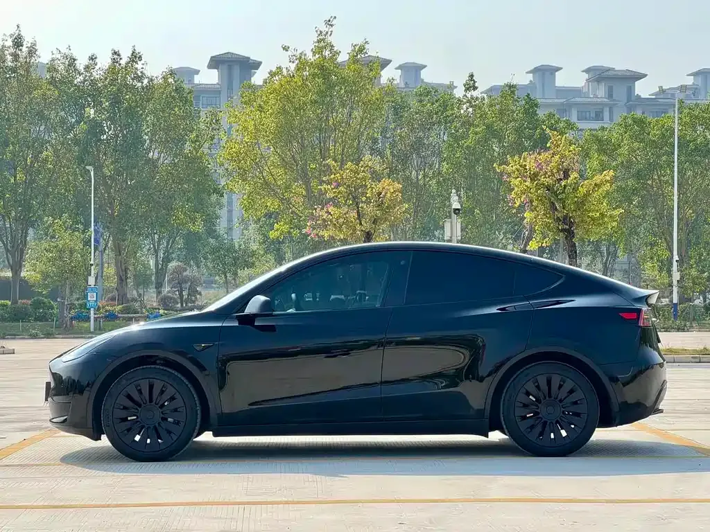 Tesla Model Y — фото 9