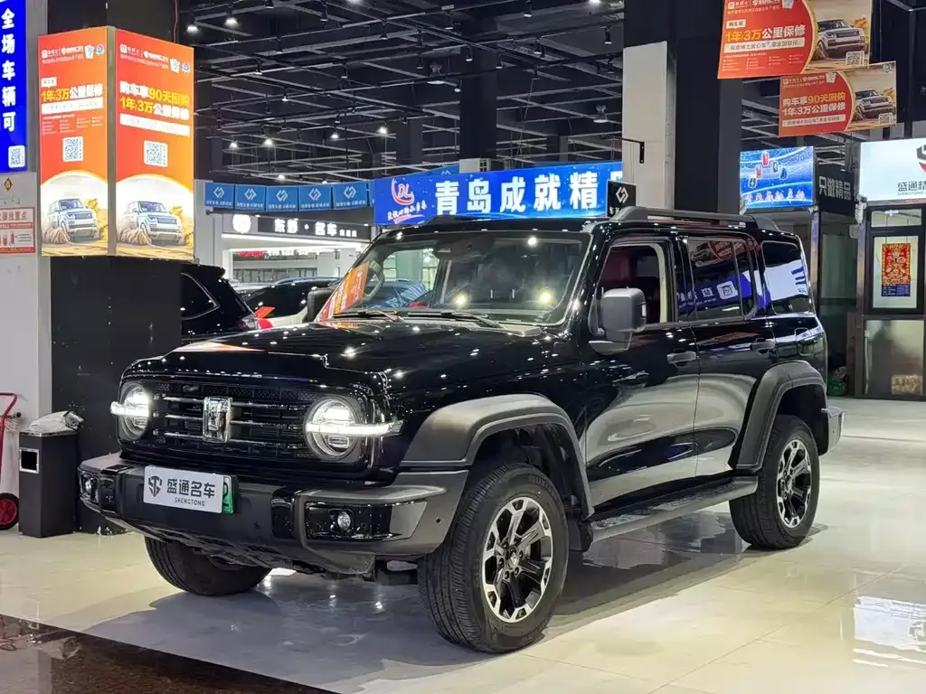 Tank 300 New Energy 2025 из CN, фото 1