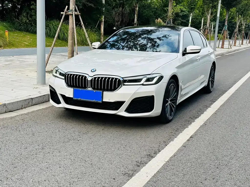 BMW 5 Series 2022 из CN, фото 1