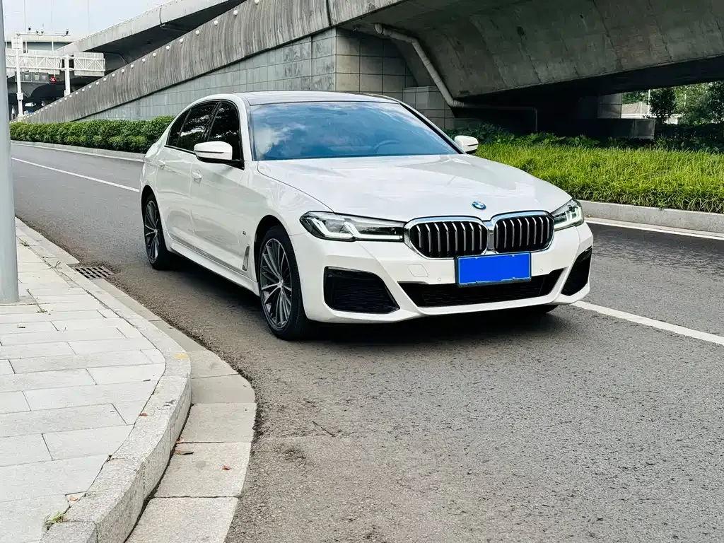 BMW 5 Series 2022 из CN, фото 4