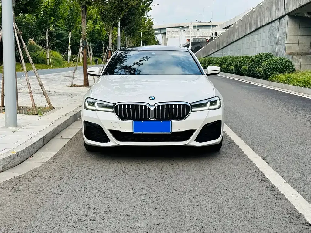 BMW 5 Series 2022 из CN, фото 2