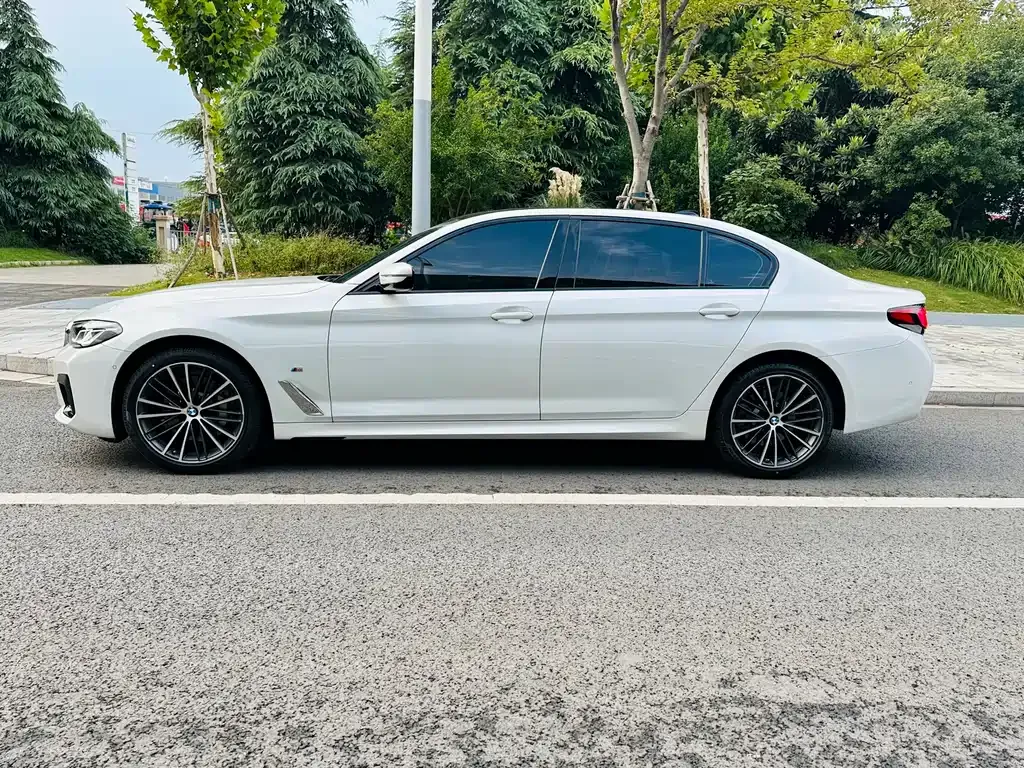 BMW 5 Series 2022 из CN, фото 8