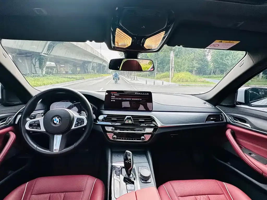 BMW 5 Series 2022 из CN, фото 6