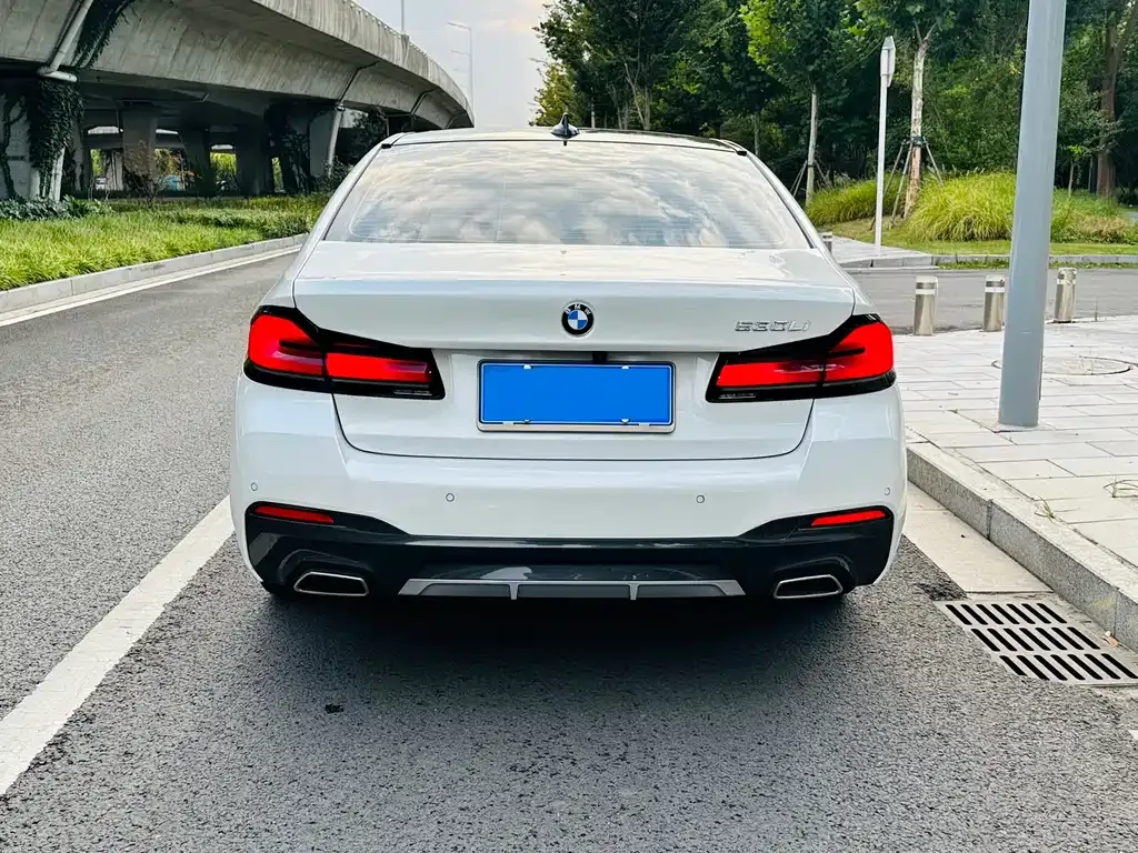 BMW 5 Series 2022 из CN, фото 9