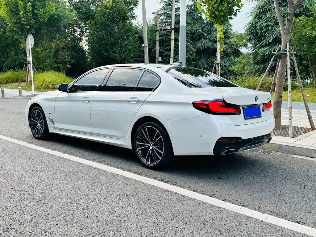 BMW 5 Series 2022 из CN, фото 3