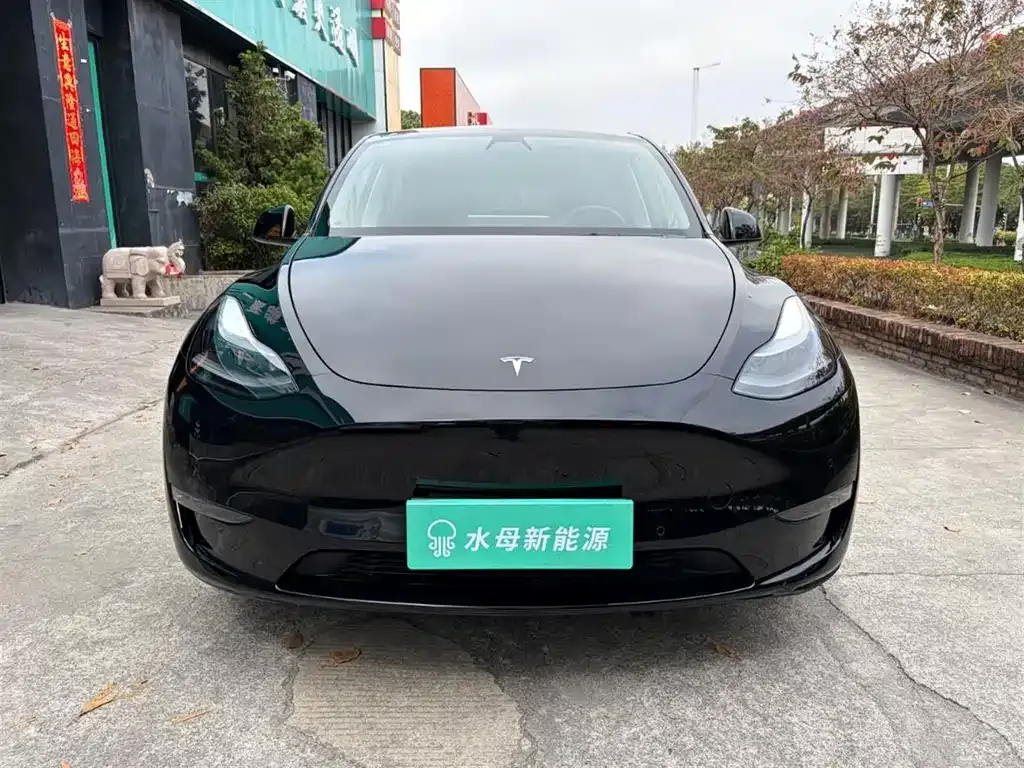 Tesla Model Y — фото 7