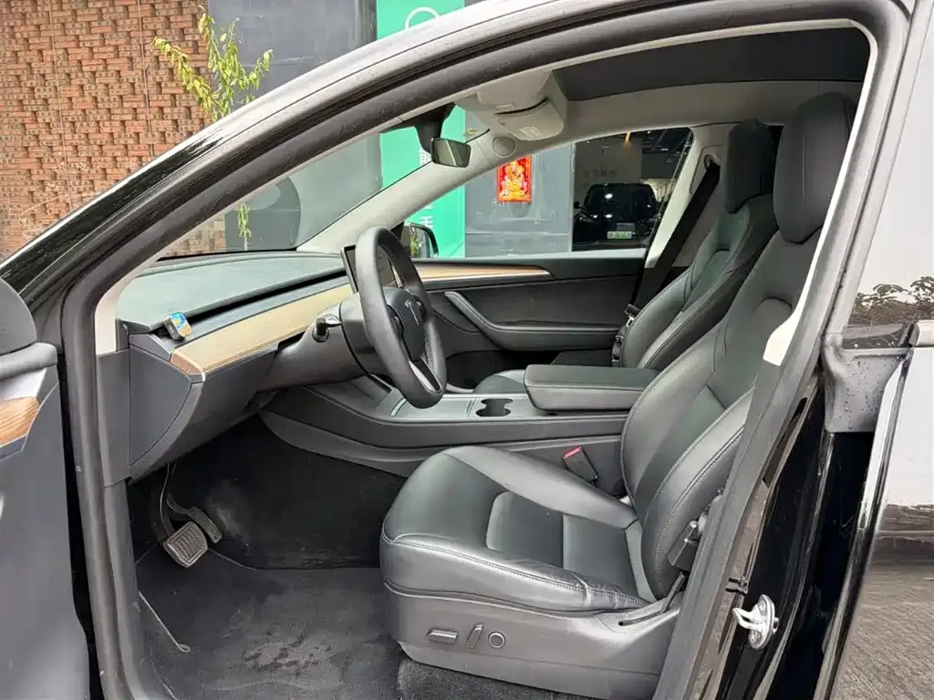 Tesla Model Y — фото 10