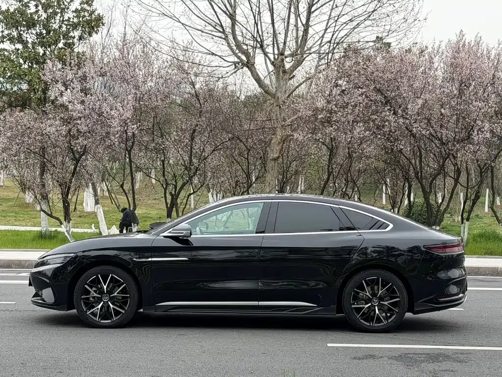 BYD Han — фото 10