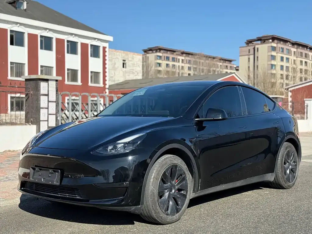 Tesla Model Y — фото 1