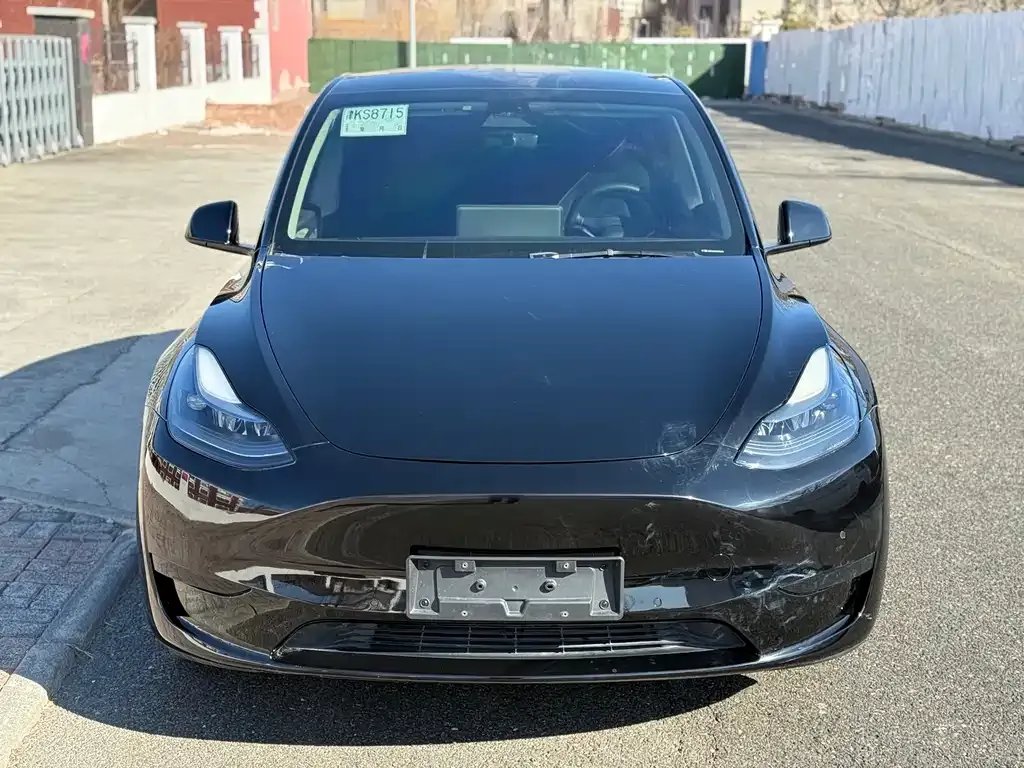 Tesla Model Y — фото 10