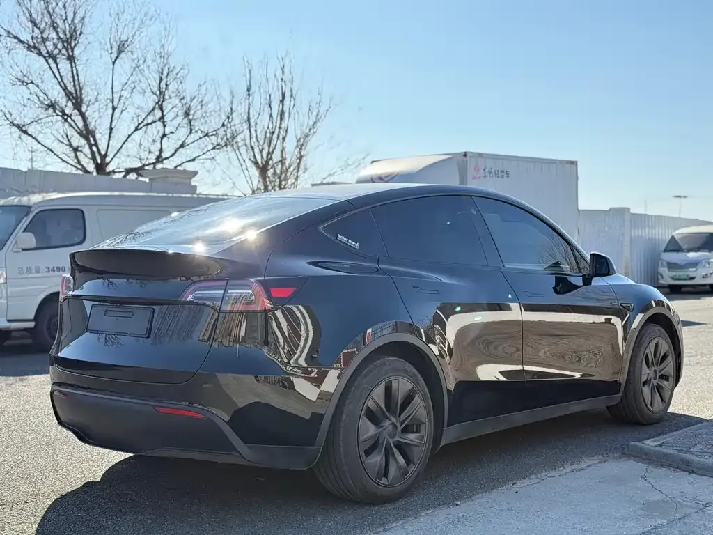 Tesla Model Y — фото 9