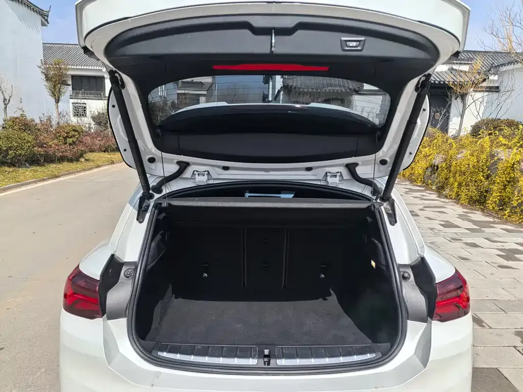 BMW X2 2022 из CN, фото 8
